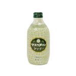 Tomomasu Japanese Soda Melon Cider 300ml