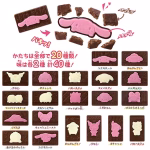 Sanrio Limited Edition Nagy Csomagos Charapaki Csokoládé 67,5g - Image 2